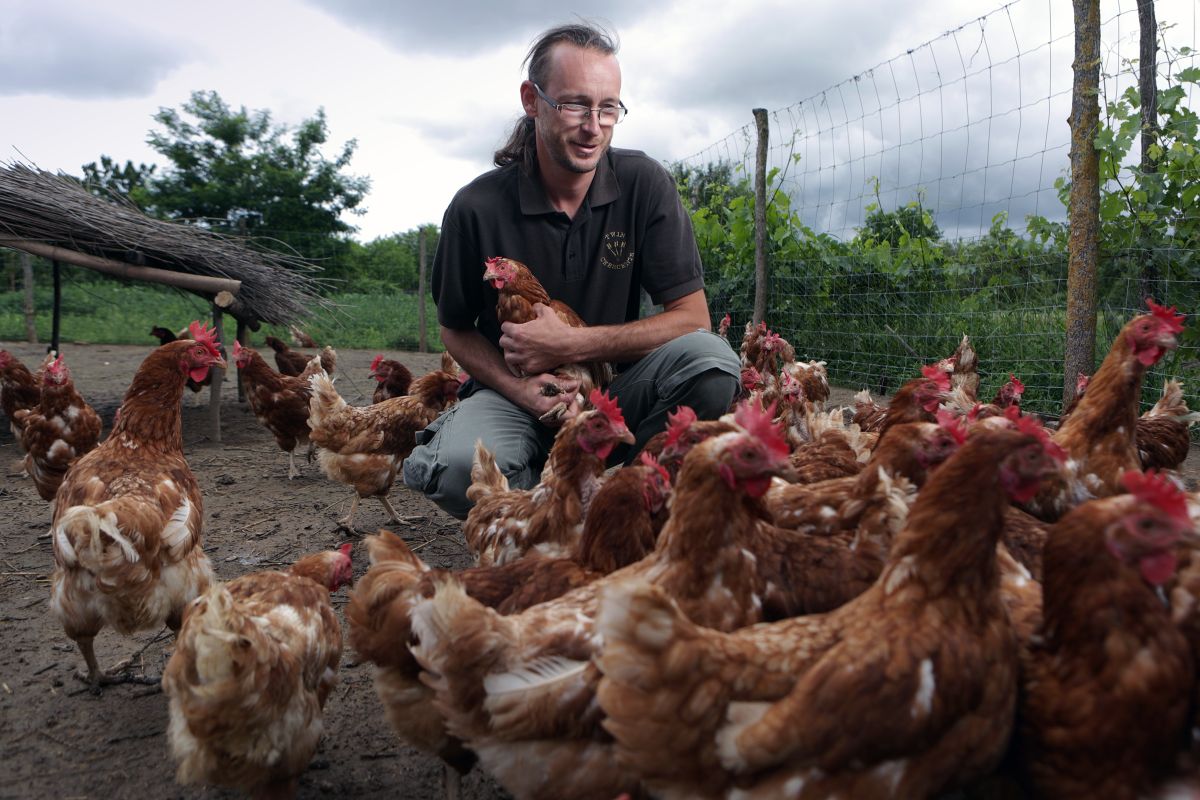 Fotó: Szabó Gábor - Origo