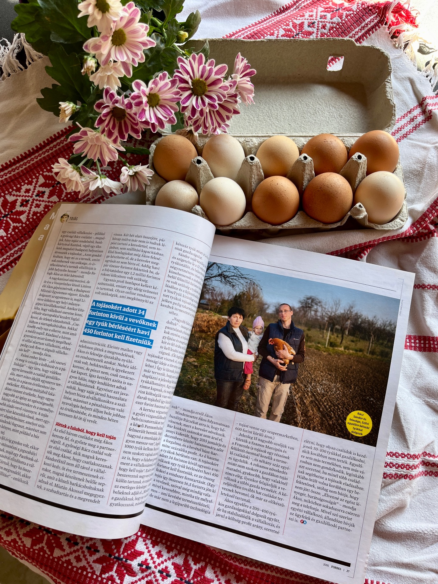 Fotó: Sági Tojás